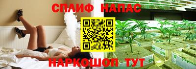jwh Будённовск