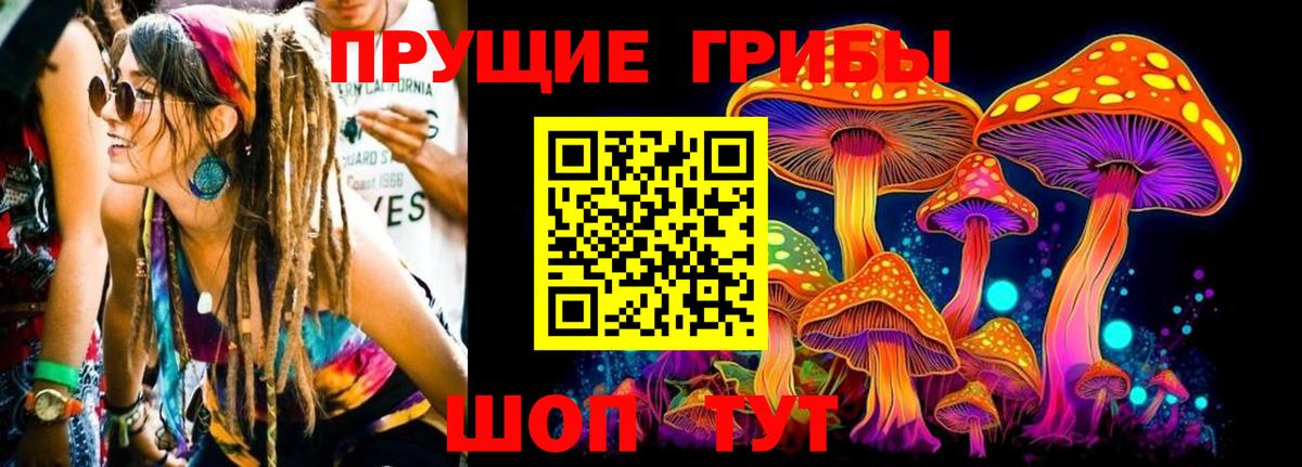 Галлюциногенные грибы ЛСД  Вход с VPN  Псилоцибиновые грибы Magic Shrooms  Тихвин 